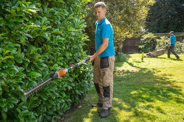 Hedge Maintenance