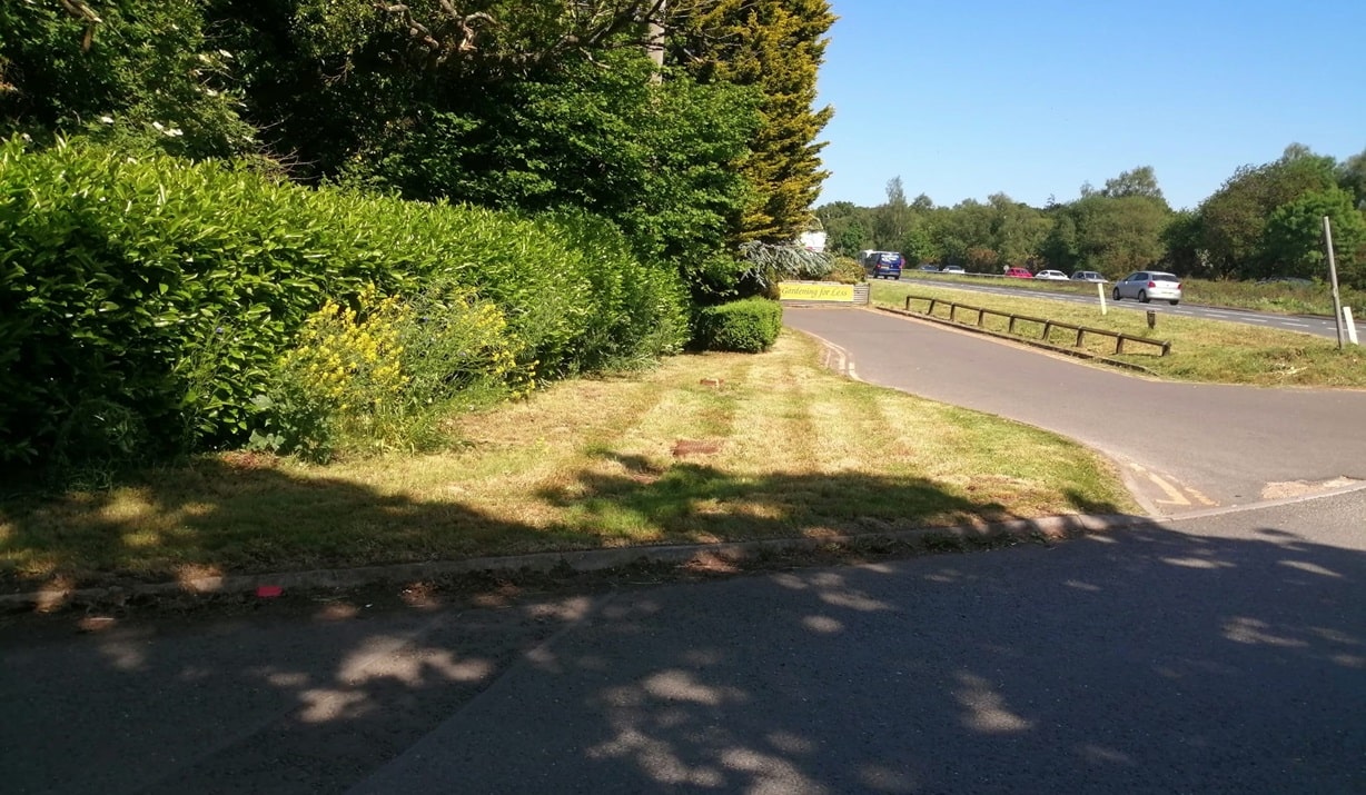 In-Excess Ringwood Grass Verge