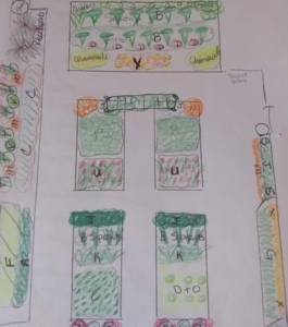 Garden Plan - Benefitz Gardening Services