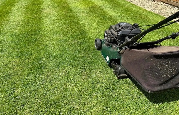 Lawn Care Advice - Benefitz Gardening Services