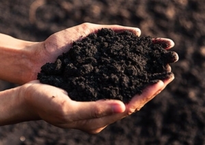 Understanding Soil Type - Benefitz Gardening Services