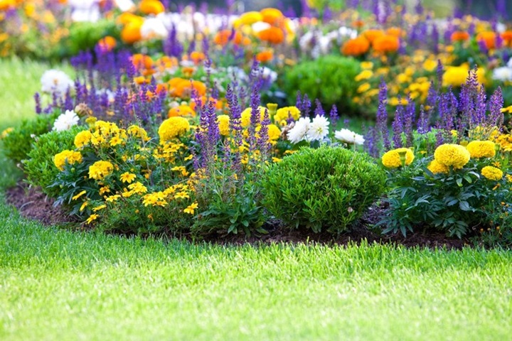 Vibrant Garden Bournemouth
