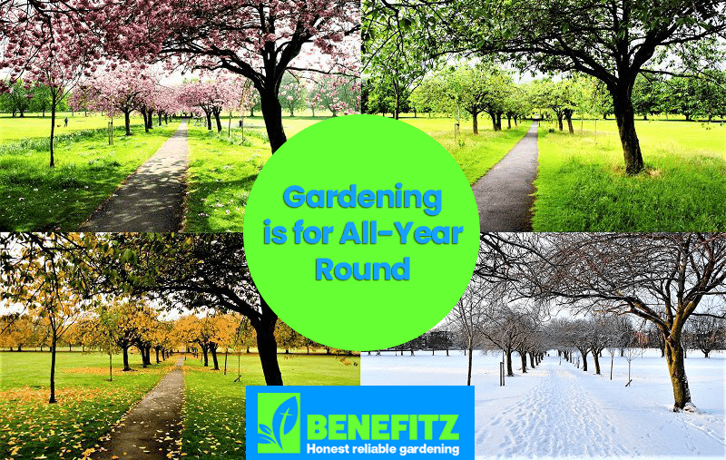 Bournemouth Garden Services - All Year Round